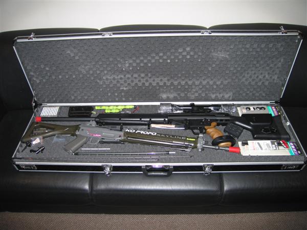 Run Away Gun Case
